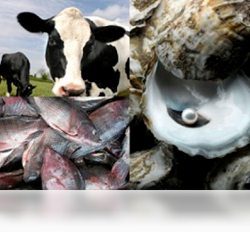 ECONOMIA QUINTANA ROO economia quintana roo: