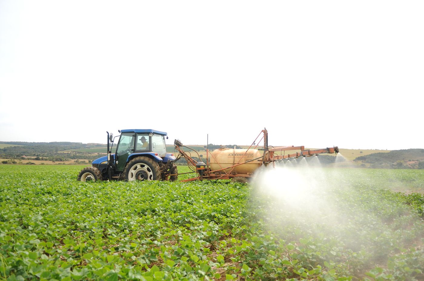 Workers in Agriculture, Livestock, Forestry, Hunting and Fishing